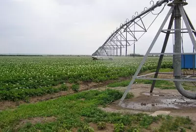 农业水泵